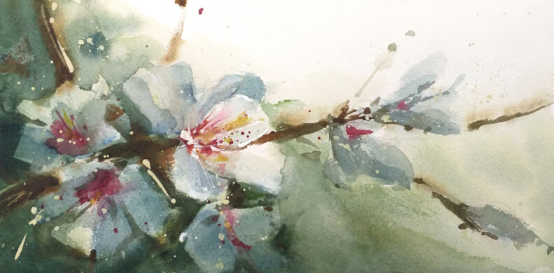 FLORES DE ALMENDRO - ACUARELA - ROBERTO BARBA