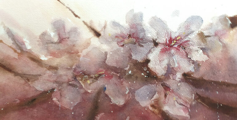 FLORES DE ALMENDRO - ACUARELA - ROBERTO BARBA
