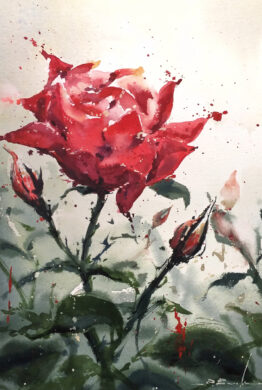 ROSA - ACUARELA - ROBERTO BARBA